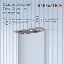 Зеркало ЧИЛИ 55 (в сборе) 